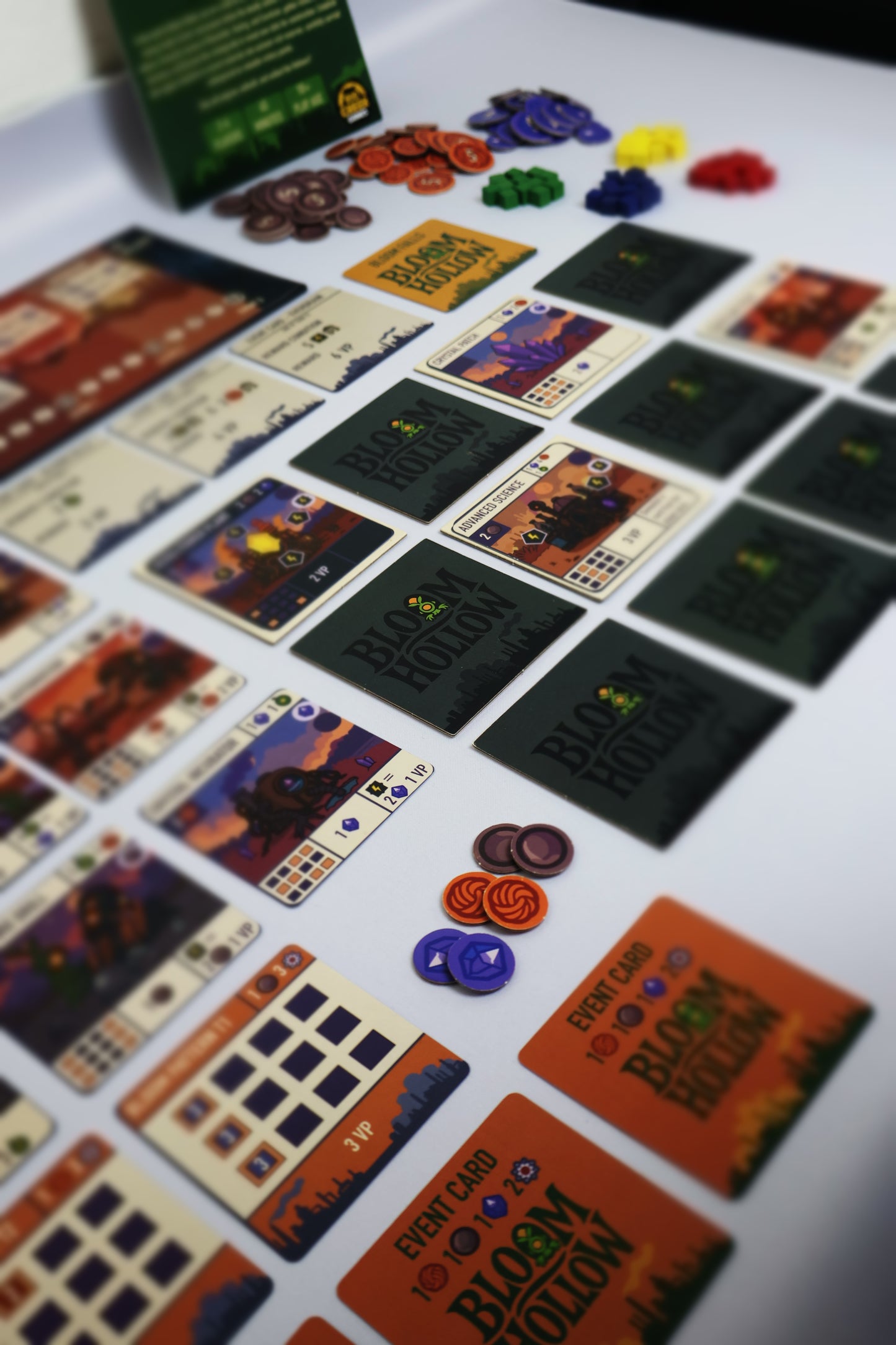 Board Game "Bloom Hollow" SEtup